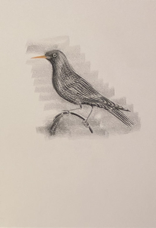 Bild mit Vogelmotiv in schwarz-weiß/ originales Unikat